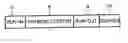 Fig. 01 - Apparatus for recording data on and/or reproducing data from optical disc