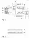 Fig. 04 - Method and apparatus for protection switching in virtual private networks