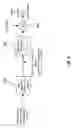 Fig. 09 - De-coupling forward and reverse link assignment for multi-carrier wireless communication systems
