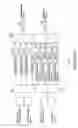 Fig. 02 - Apparatus and method for transmission/reception