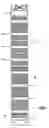 Fig. 02 - Fuel element for a pressurized water reactor