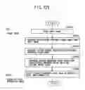 Fig. 131 - Digital watermark embedding method, digital watermark embedding apparatus, and storage medium storing a digital watermark embedding program