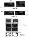 Fig. 10 - Method and apparatus for tracking a movable object