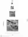 Fig. 12 - Occluding contour detection and storage for digital photography