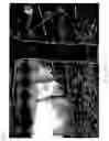 Fig. 19 - Occluding contour detection and storage for digital photography
