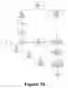Fig. 03 - Perfecting the effect of flash within an image acquisition devices using face detection
