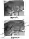 Fig. 05 - Perfecting the effect of flash within an image acquisition devices using face detection