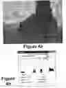 Fig. 10 - Perfecting the effect of flash within an image acquisition devices using face detection