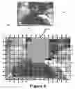 Fig. 19 - Perfecting the effect of flash within an image acquisition devices using face detection