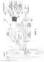 Fig. 02 - Blood and cell analysis using an imaging flow cytometer