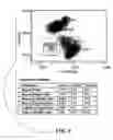 Fig. 08 - Blood and cell analysis using an imaging flow cytometer