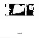 Fig. 07 - System for creating microscopic digital montage images