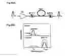 Fig. 28 - Wavelength division multiplex optical regeneration system and wavelength division multiplex optical regeneration method