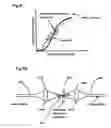 Fig. 33 - Wavelength division multiplex optical regeneration system and wavelength division multiplex optical regeneration method