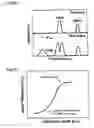 Fig. 40 - Wavelength division multiplex optical regeneration system and wavelength division multiplex optical regeneration method