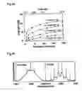 Fig. 44 - Wavelength division multiplex optical regeneration system and wavelength division multiplex optical regeneration method