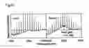 Fig. 46 - Wavelength division multiplex optical regeneration system and wavelength division multiplex optical regeneration method