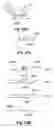Fig. 43 - All-optical bi-stable devices