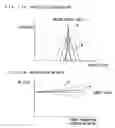 Fig. 15 - Image forming apparatus and image forming method for performing density control of toner images