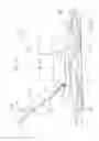 Fig. 02 - Power trowelling aggregate decorative stone