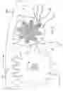 Fig. 03 - Device for adjusting the angle of incidence of a rotor blade of a wind power installation