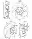 Fig. 03 - Compressor assembly having an air-cooled electric motor