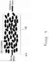 Fig. 05 - Micro-fluidic fluid separation device and method