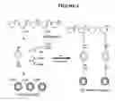 Fig. 03 - Cell scaffold matrices with incorporated therapeutic agents