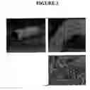 Fig. 04 - Cell scaffold matrices with incorporated therapeutic agents