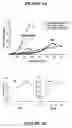 Fig. 06 - Cell scaffold matrices with incorporated therapeutic agents