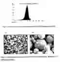 Fig. 02 - Magnetically targetable particles comprising magnetic components and biocompatible polymers for site-specific delivery of biologically active agents