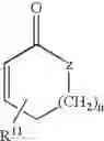 Fig. 09 - Michael addition product and Schiff's base aromachemicals