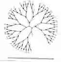 Fig. 03 - Multifunctional dendrimers and hyperbranched polymers as drug and gene delivery systems