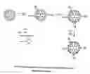 Fig. 05 - Multifunctional dendrimers and hyperbranched polymers as drug and gene delivery systems