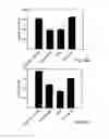 Fig. 43 - Promoters exhibiting endothelial cell specificity and methods of using same for regulation of angiogenesis