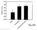 Fig. 45 - Promoters exhibiting endothelial cell specificity and methods of using same for regulation of angiogenesis