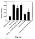 Fig. 49 - Promoters exhibiting endothelial cell specificity and methods of using same for regulation of angiogenesis