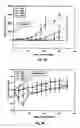 Fig. 71 - Promoters exhibiting endothelial cell specificity and methods of using same for regulation of angiogenesis