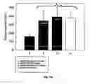 Fig. 72 - Promoters exhibiting endothelial cell specificity and methods of using same for regulation of angiogenesis