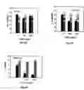 Fig. 85 - Promoters exhibiting endothelial cell specificity and methods of using same for regulation of angiogenesis