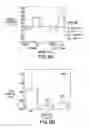 Fig. 09 - Compositions and methods for producing enhanced antibodies