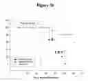 Fig. 28 - Cytotoxicity mediation of cells evidencing surface expression of CD63