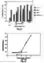 Fig. 10 - Tumour necrosis factor binding ligands