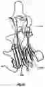 Fig. 16 - Tumour necrosis factor binding ligands