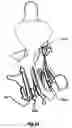 Fig. 19 - Tumour necrosis factor binding ligands