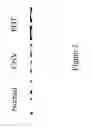 Fig. 04 - Methods and compositions for treating conditions of the eye