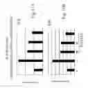 Fig. 12 - Bv8 nucleic acids and polypeptides with mitogenic activity