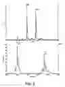 Fig. 03 - Cholesterol-containing compounds and their use as immunogens against 
