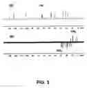 Fig. 04 - Cholesterol-containing compounds and their use as immunogens against 