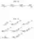 Fig. 09 - Cholesterol-containing compounds and their use as immunogens against 